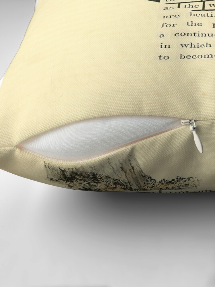 Thumbnail 2 of 4, Pillow, Bird Divination: Lewis's Woodpecker (almanacofbirds.org) designed and sold by mariapopova.