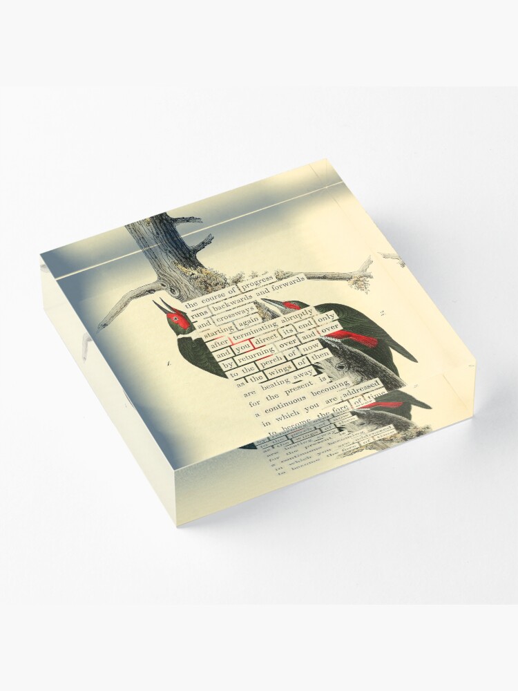 Thumbnail 3 of 5, Acrylic Block, Bird Divination: Lewis's Woodpecker (almanacofbirds.org) designed and sold by mariapopova.