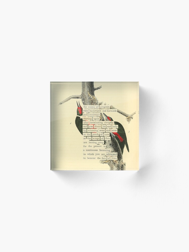 Thumbnail 2 of 5, Acrylic Block, Bird Divination: Lewis's Woodpecker (almanacofbirds.org) designed and sold by mariapopova.