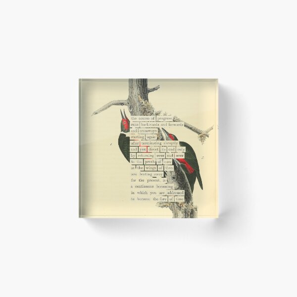 Aperçu de l'œuvre Divination des oiseaux : le pic de Lewis (almanacofbirds.org) créée et vendue par mariapopova.