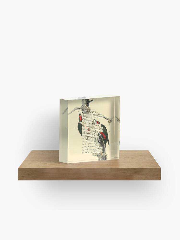 Thumbnail 1 of 5, Acrylic Block, Bird Divination: Lewis's Woodpecker (almanacofbirds.org) designed and sold by mariapopova.