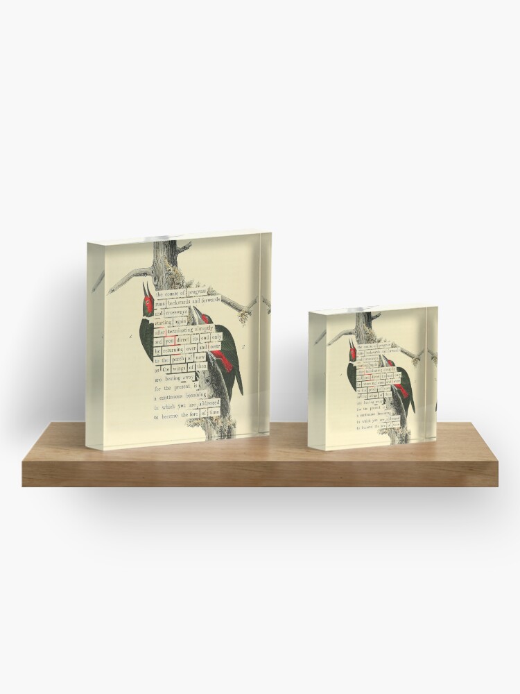 Thumbnail 4 of 5, Acrylic Block, Bird Divination: Lewis's Woodpecker (almanacofbirds.org) designed and sold by mariapopova.