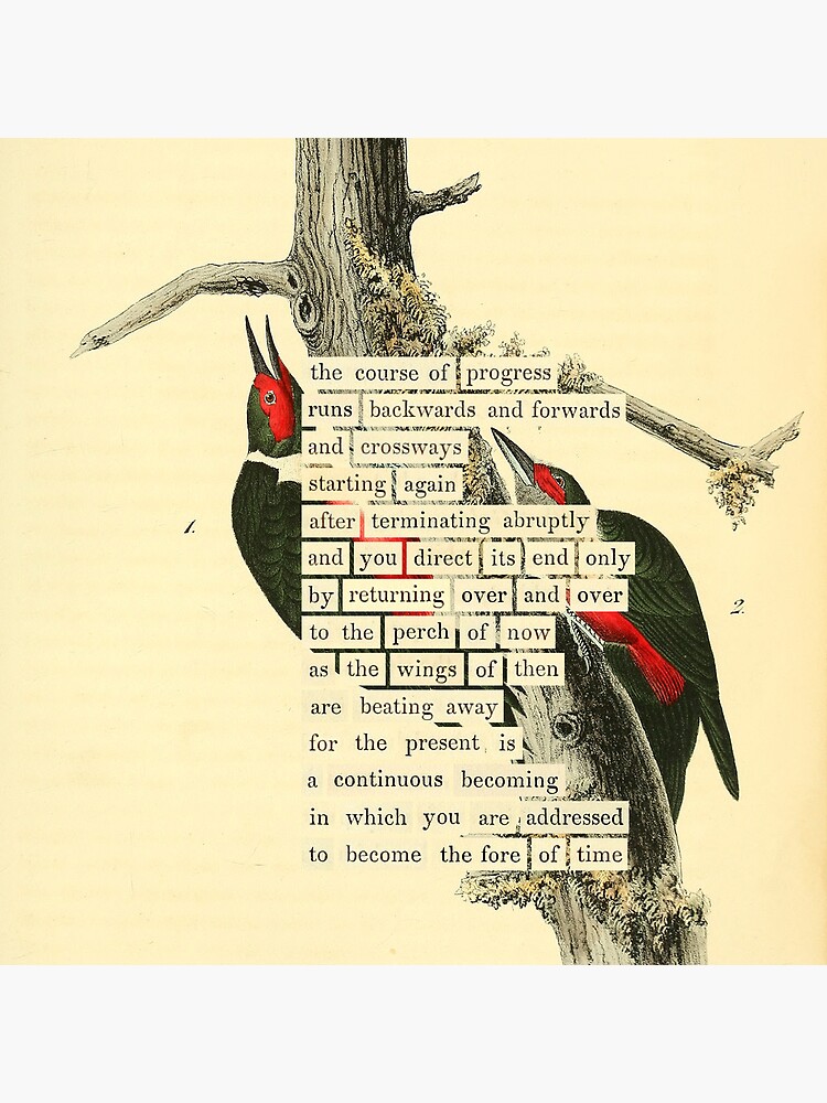 Thumbnail 5 of 5, Coasters (Set of 4), Bird Divination: Lewis's Woodpecker (almanacofbirds.org) designed and sold by mariapopova.