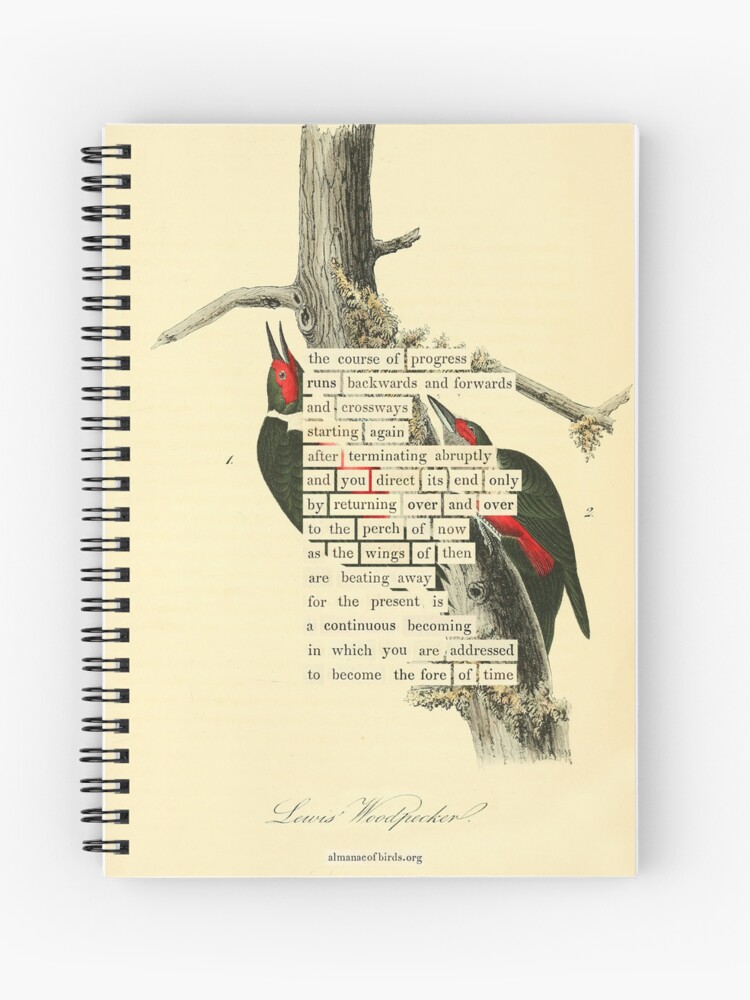 Thumbnail 1 of 3, Journal, Bird Divination: Lewis's Woodpecker (almanacofbirds.org) designed and sold by mariapopova.
