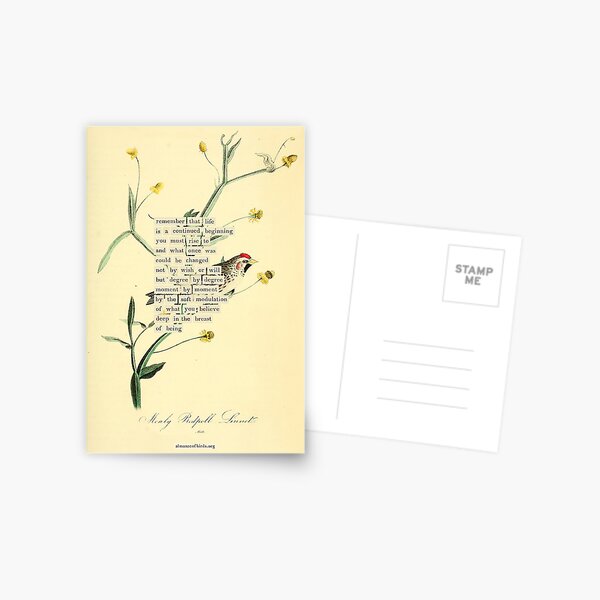 Item preview, Bird Divination: Mealy Redpoll Linnet (almanacofbirds.org) designed and sold by mariapopova.