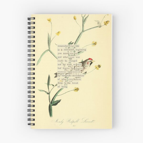 Item preview, Bird Divination: Mealy Redpoll Linnet (almanacofbirds.org) designed and sold by mariapopova.
