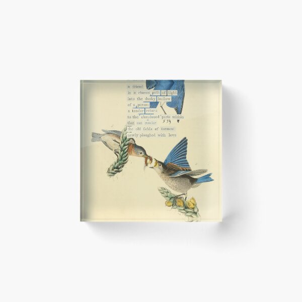 Item preview, Bird Divination: Bluebird (almanacofbirds.org) designed and sold by mariapopova.