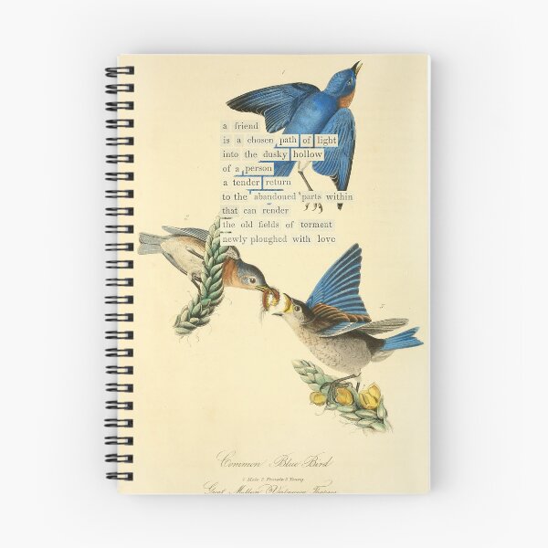 Item preview, Bird Divination: Bluebird (almanacofbirds.org) designed and sold by mariapopova.