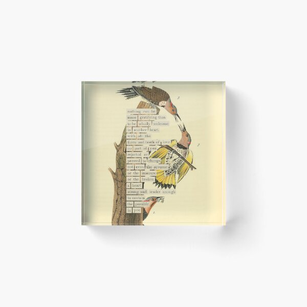 Item preview, Bird Divination: Yellow-winged Woodpecker (almanacofbirds.org) designed and sold by mariapopova.