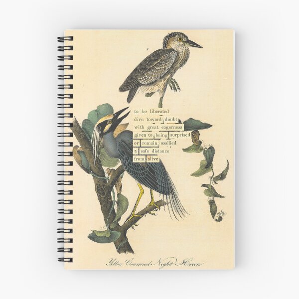 Item preview, Bird Divination: Yellow-crowned Night Heron (almanacofbirds.org) designed and sold by mariapopova.