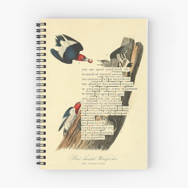 Item preview, Bird Divination: Red-headed Woodpecker (almanacofbirds.org) designed and sold by mariapopova.