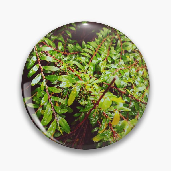 Item preview, Green wet leaves  designed and sold by MaggicalPhotos.