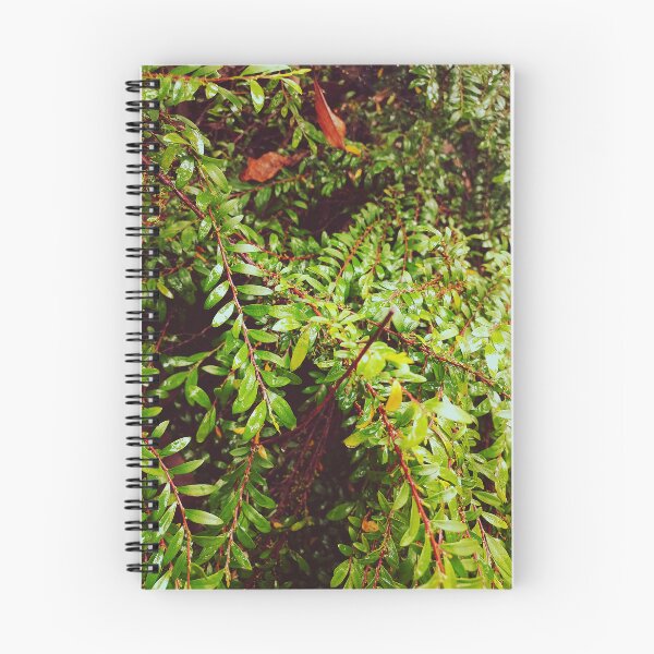 Item preview, Green wet leaves  designed and sold by MaggicalPhotos.