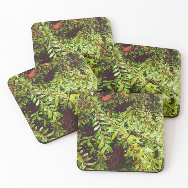 Item preview, Green wet leaves  designed and sold by MaggicalPhotos.