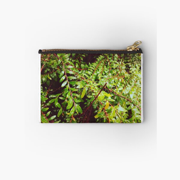 Item preview, Green wet leaves  designed and sold by MaggicalPhotos.