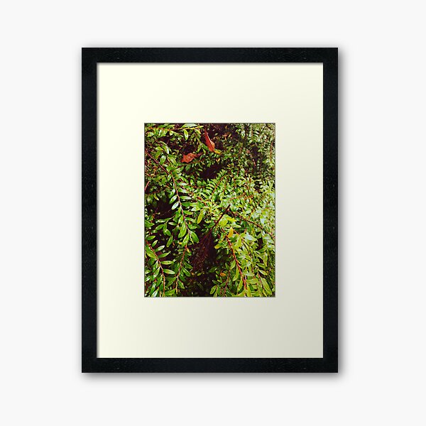 Item preview, Green wet leaves  designed and sold by MaggicalPhotos.