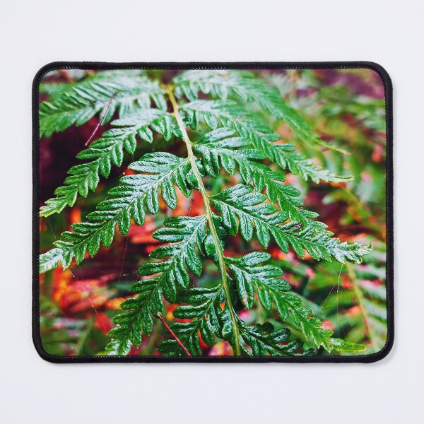 Item preview, Fern designed and sold by MaggicalPhotos.