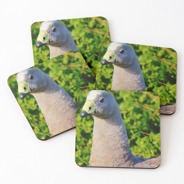 Item preview, Up Close to a Cape Barren Goose  designed and sold by D-GaP.