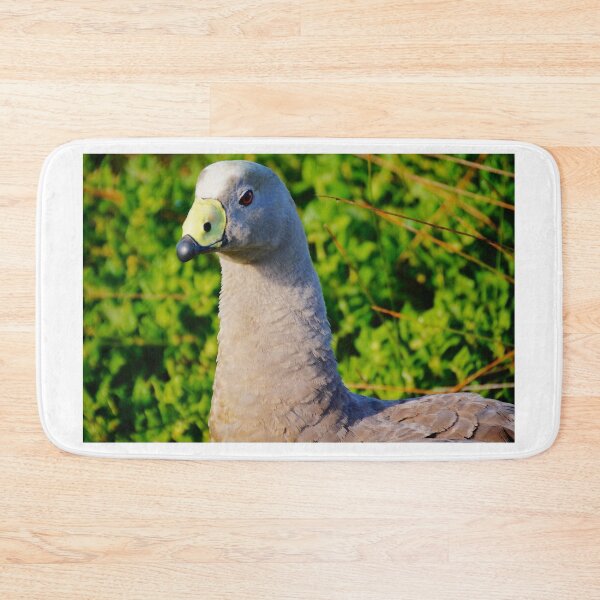 Item preview, Up Close to a Cape Barren Goose  designed and sold by D-GaP.