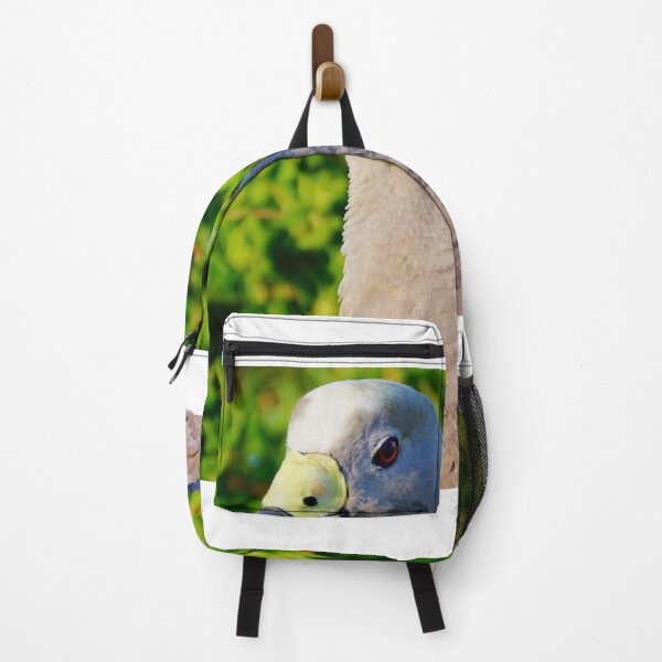 Item preview, Up Close to a Cape Barren Goose designed and sold by D-GaP.