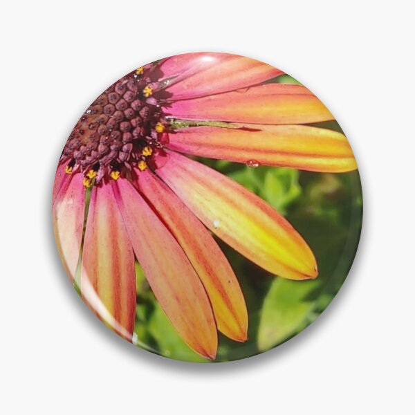 Item preview, Two-toned African Daisy designed and sold by Mary Ellen Tuite.