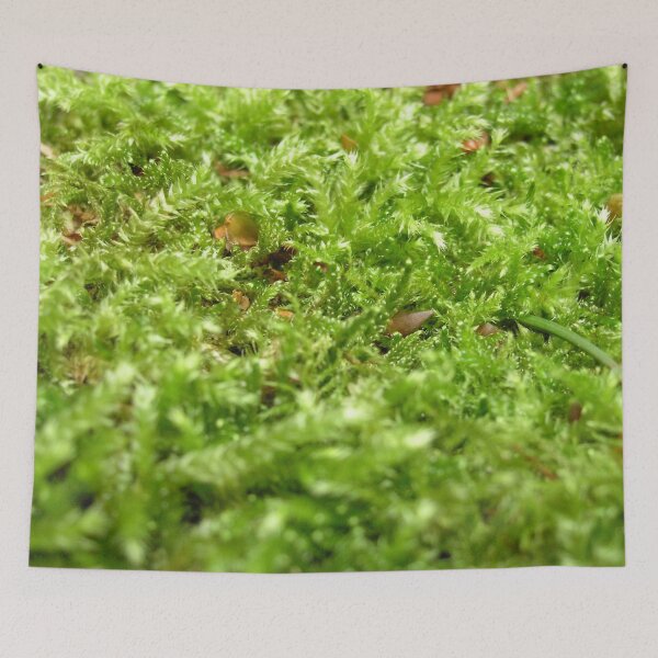 Item preview, Photo close up Moss designed and sold by PM-Artistic.