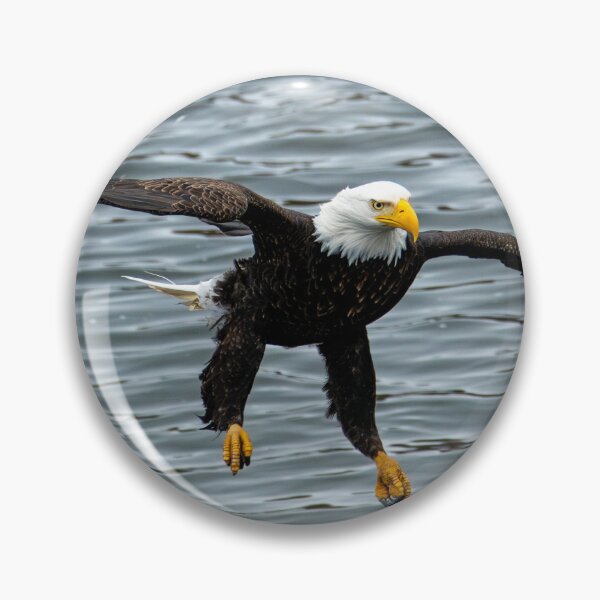 Item preview, Talons Lowered designed and sold by DawsonImages.