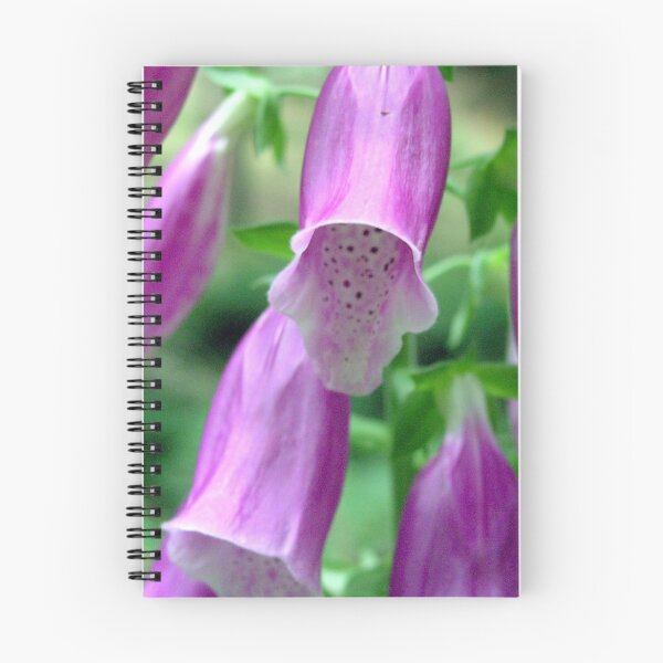 Item preview, Photo close up flower designed and sold by PM-Artistic.