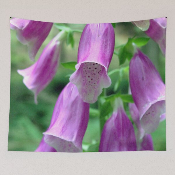 Item preview, Photo close up flower designed and sold by PM-Artistic.
