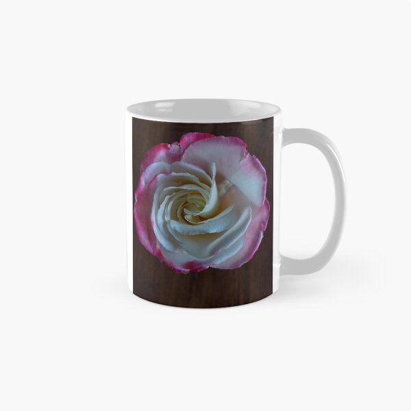 Item preview, A Beautiful Double Delight Rose designed and sold by Mary Ellen Tuite.