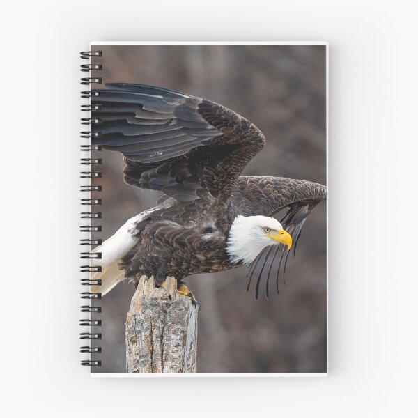 Item preview, The Launch Pad designed and sold by DawsonImages.