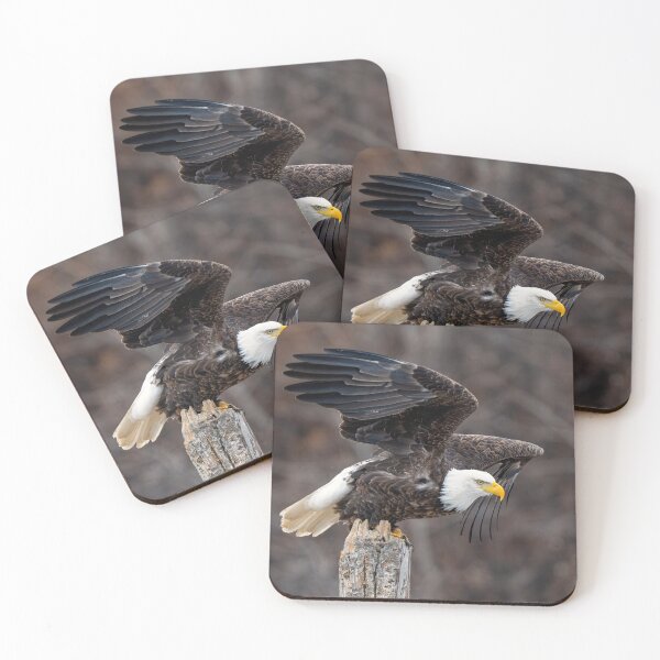 Item preview, The Launch Pad designed and sold by DawsonImages.