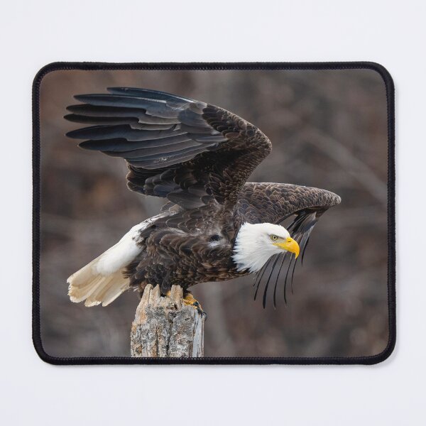 Item preview, The Launch Pad designed and sold by DawsonImages.