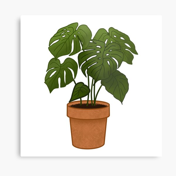 Item preview, Monstera in a Pot designed and sold by emsimps.