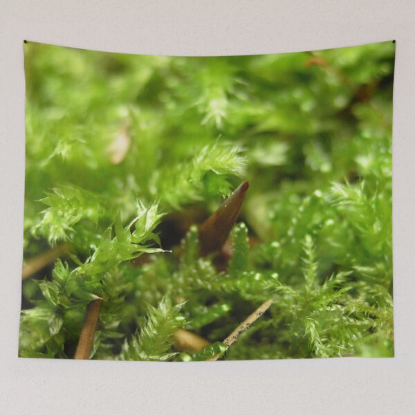 Item preview, Photo close up Moss designed and sold by PM-Artistic.