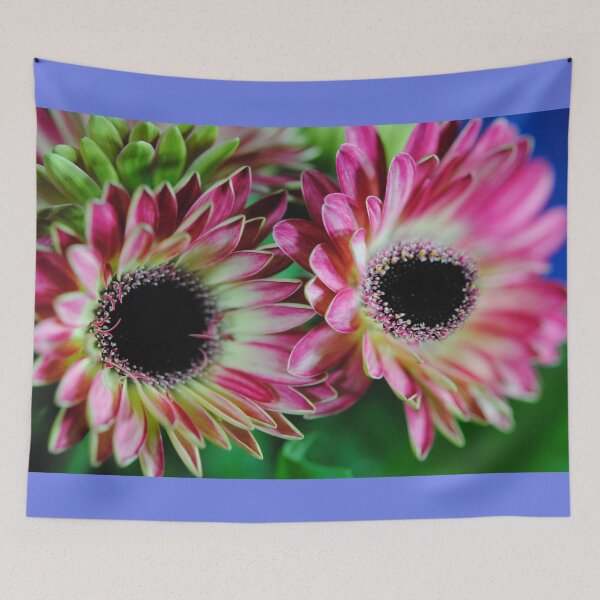 Item preview, Pink and Cream Gerbera Daisies designed and sold by bloomingvine.