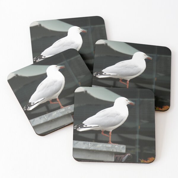 Item preview, One-footed seagull designed and sold by greentiger1.