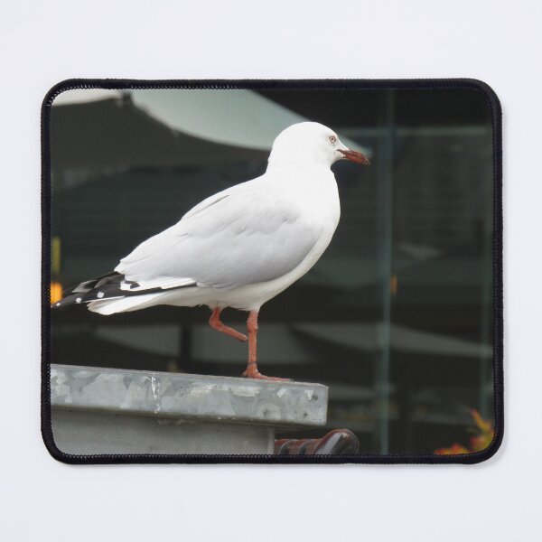 Item preview, One-footed seagull designed and sold by greentiger1.