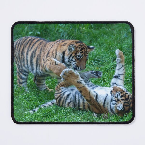 Item preview, Energetic Tiger Cubs designed and sold by rawshutterbug.