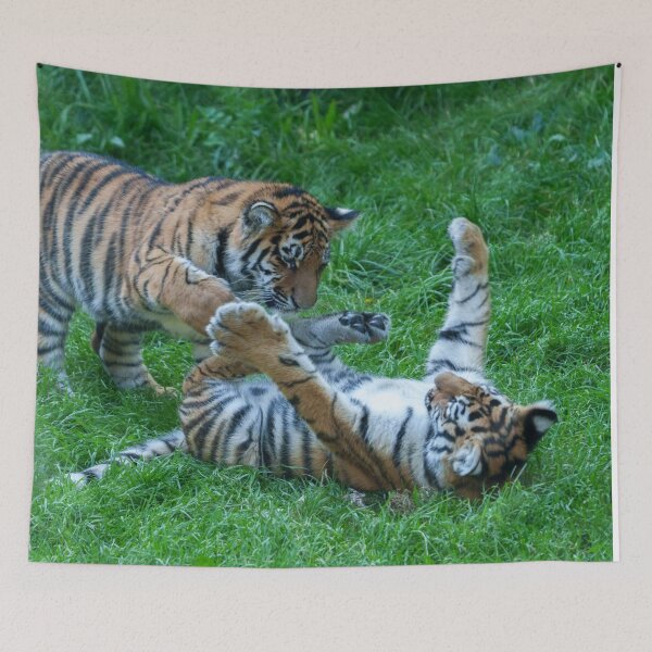 Item preview, Energetic Tiger Cubs designed and sold by rawshutterbug.