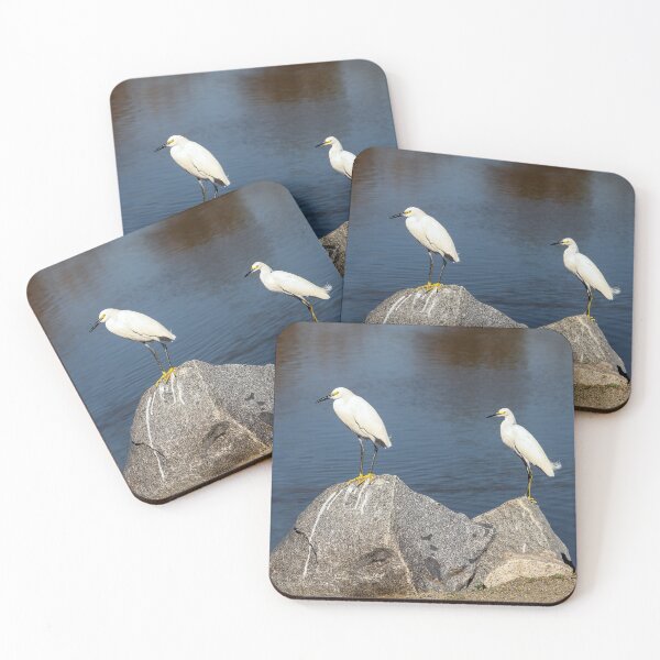 Item preview, Should We Swim or Fly? designed and sold by heatherfriedman.