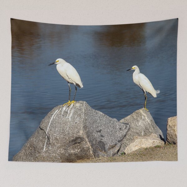 Item preview, Should We Swim or Fly? designed and sold by heatherfriedman.