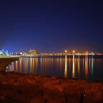 Artwork thumbnail, Promenade by Nicoletté Thain Photography