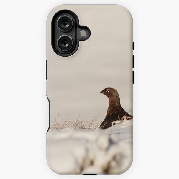Item preview, Red Grouse in the snow, Peak District, UK designed and sold by Philip Ward Photography.
