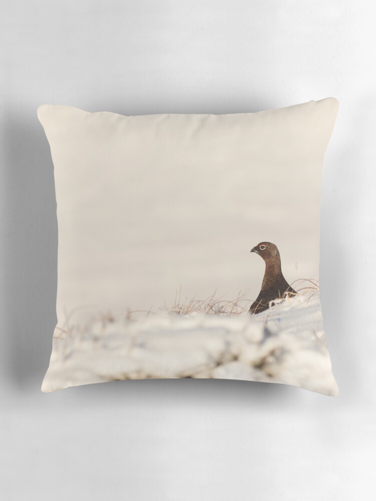 Thumbnail 3 of 4, Pillow, Red Grouse in the snow, Peak District, UK designed and sold by youngpip.