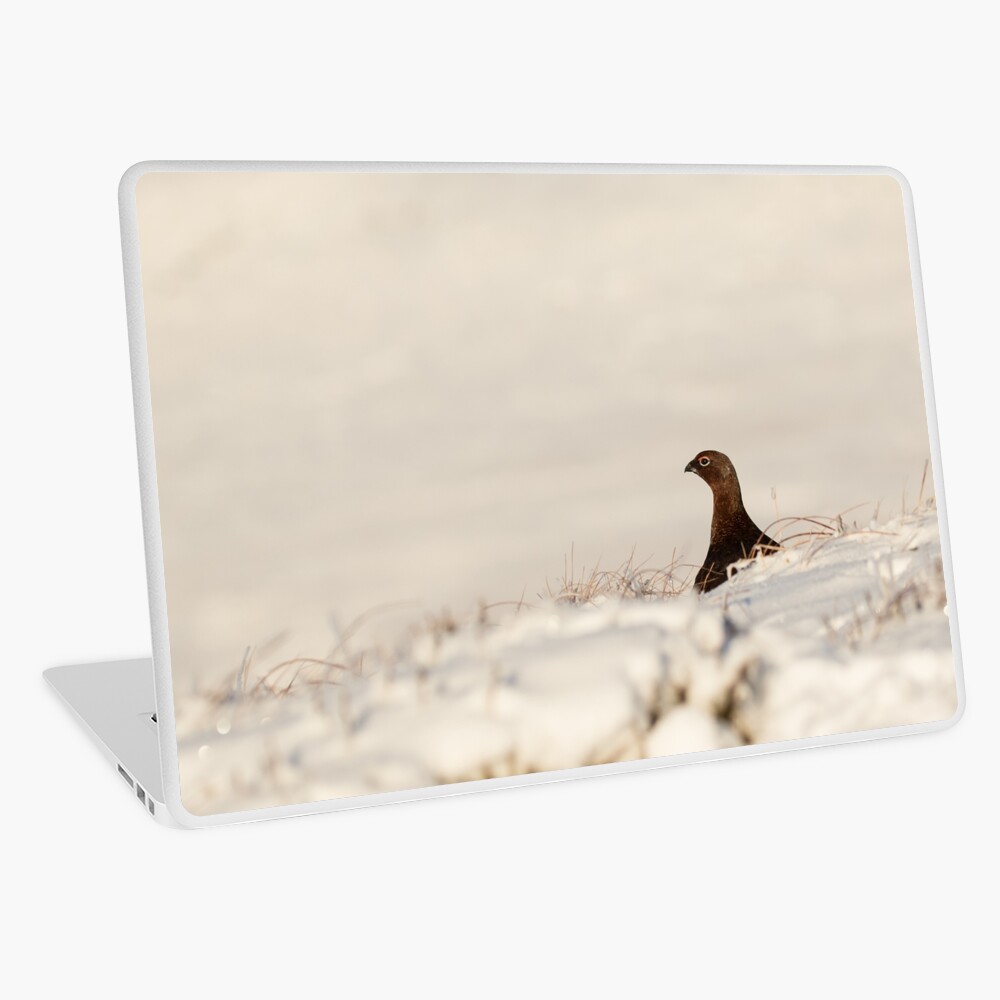Item preview, Laptop Skin designed and sold by youngpip.