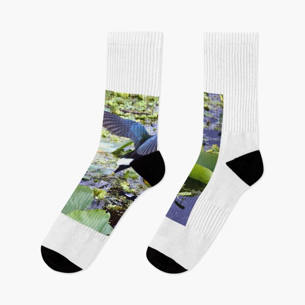 Item preview, American Purple Gallinule designed and sold by MercerImages.