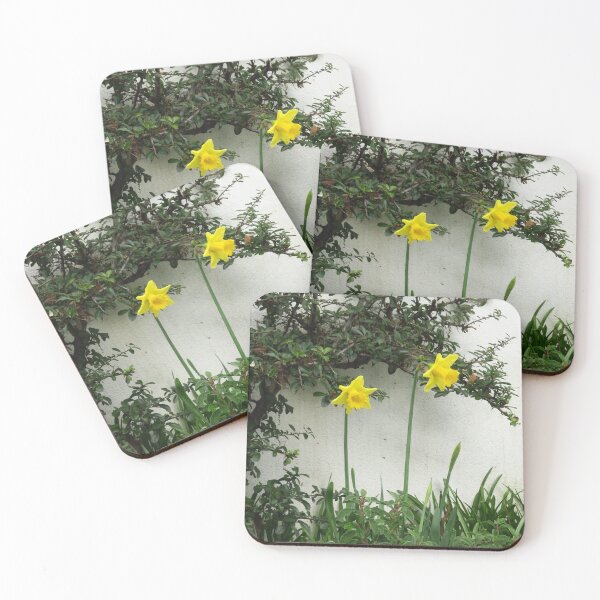 Item preview, Two Daffodils designed and sold by wiggyofipswich.