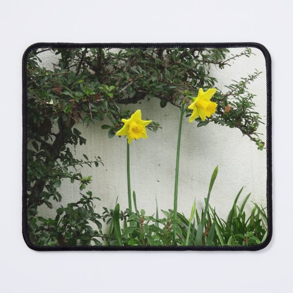 Item preview, Two Daffodils designed and sold by wiggyofipswich.