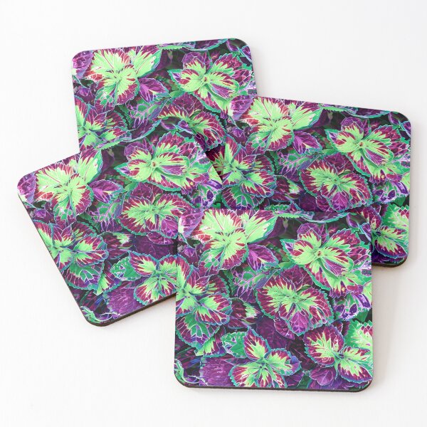 Item preview, Vibrant Clementine Columbia Coleus Leaves in Detailed Close Up designed and sold by graphicnew.